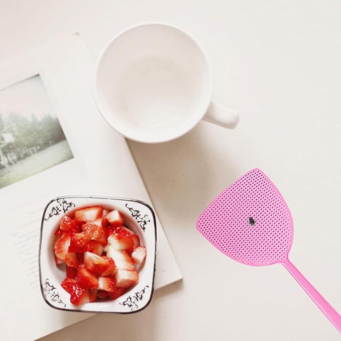 Plastic Fly Swatter Fly