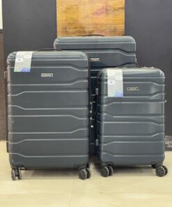 Luggage Traveling D3