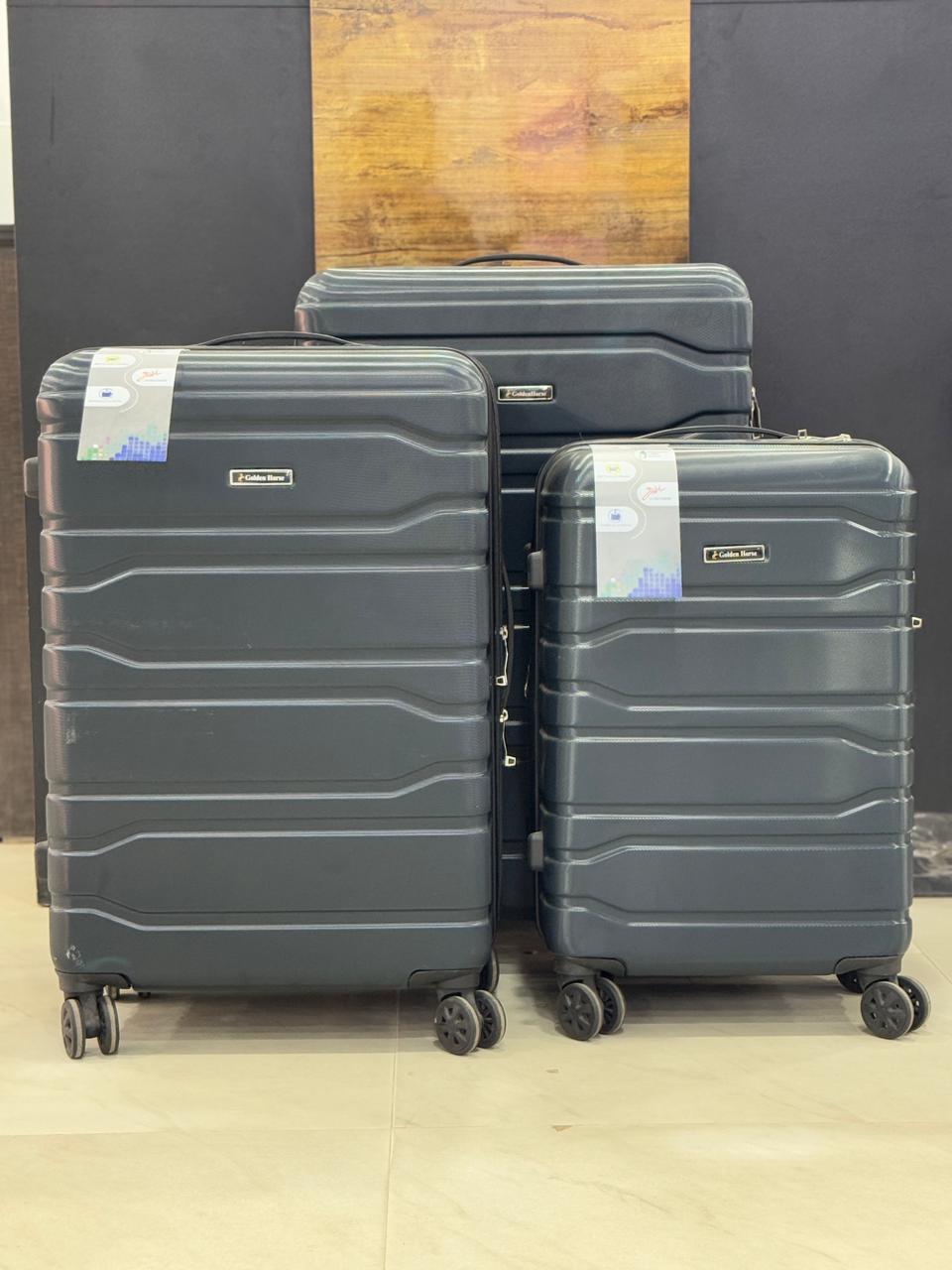 Luggage Traveling D3