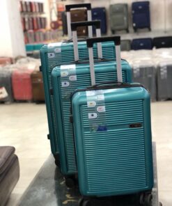Luggage Traveling D6