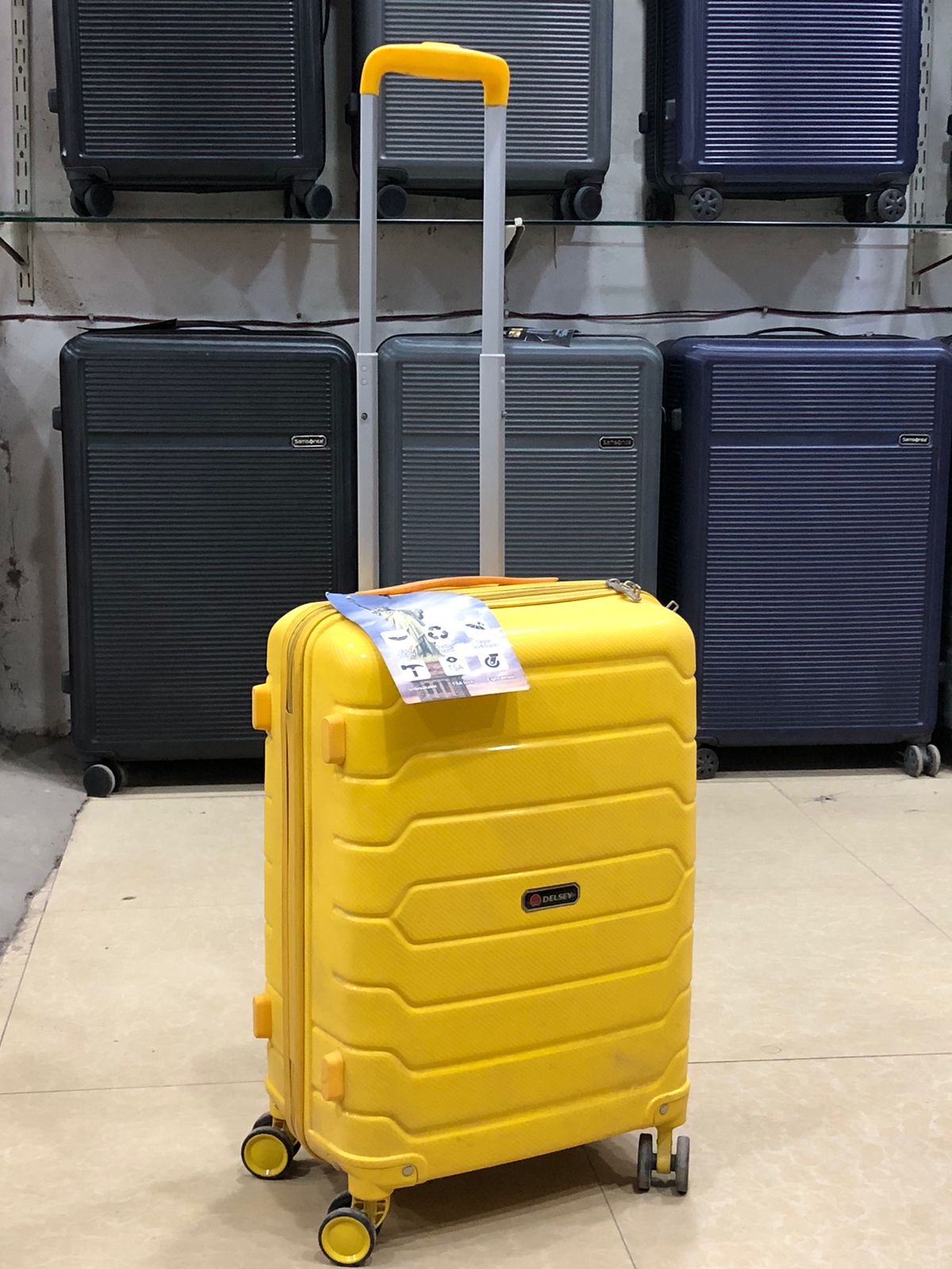 Luggage Traveling PP4